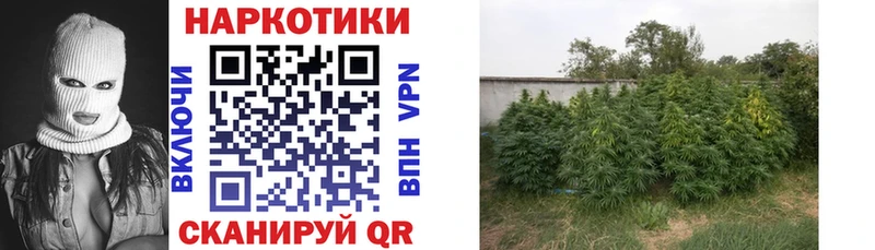 Названия наркотиков Камызяк Alpha PVP  МАРИХУАНА  МЕФ  АМФЕТАМИН  Гашиш 