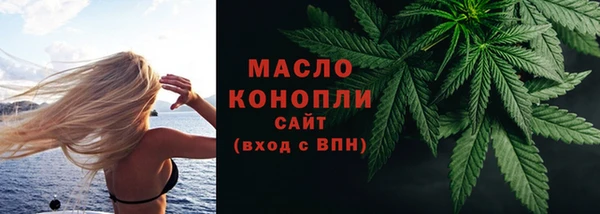 соль ск Каменка