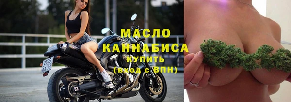 индика Карпинск