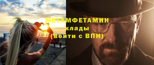 сатива Инта