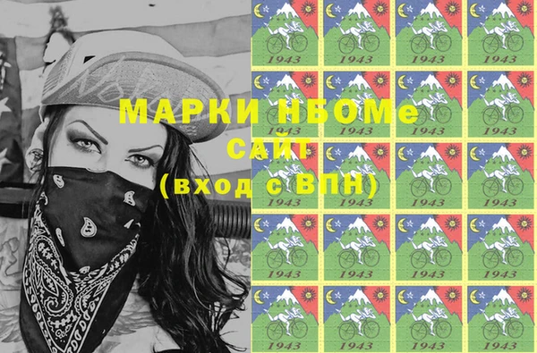 соль ск Каменка