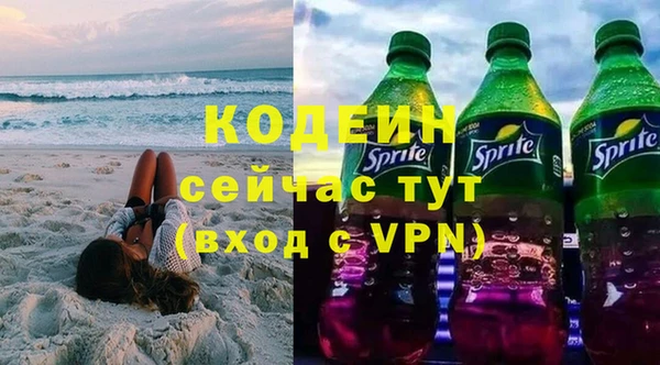 индика Карпинск