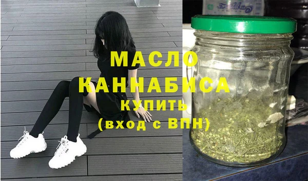соль ск Каменка