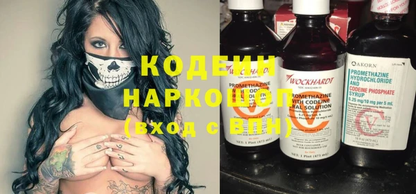 сатива Инта