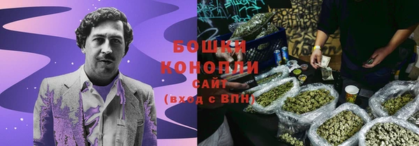 соль ск Каменка