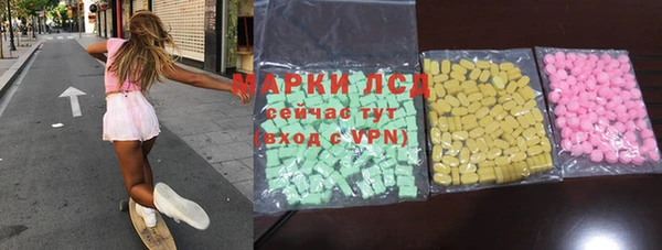 индика Карпинск