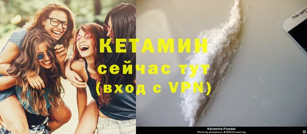 индика Карпинск