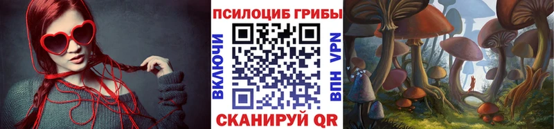Галлюциногенные грибы прущие грибы Камызяк